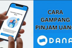 Cara Pinjam Uang di Aplikasi DANA Tanpa Fitur PayLater