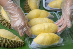 Panduan Konsumsi Durian: Manfaat, Batasan, dan Tips Sehat