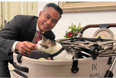 Kehadiran Kucing Bobby di Pelantikan Presiden Prabowo Subianto