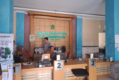 Tunggakan PBBP2 di Lebong Capai Rp 2,8 Miliar, BKD Pastikan Tetap Ditagih