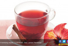 4 Minuman Pengganti Kopi yang Baik untuk Tubuh