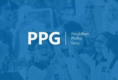 Resmi! Pengumuman Kelulusan UKP PPG Periode 2 Tahun 2025 Dijadwalkan September, Begini Cara Ceknya