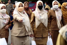 Sisa Guru P1 Diangkat Jadi PPPK Paruh Waktu, Dirjen Nunuk: Terakhir Tahun Ini