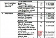 Segini TPP PNS dan PPPK 2025, Perbandingan Jabatan di Tiap Daerah Ternyata Terima Nominal yang Beda