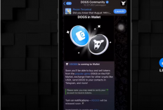 Langkah Mudah Penarikan DOGE ke Dana: Verifikasi dan Proses di Wallet Telegram