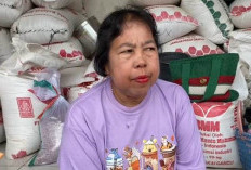 Meski Musim Panen Padi, Harga Beras Masih Bertahan
