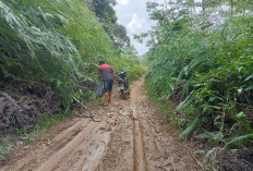Lahan Sudah Digusur, Jalan Poros Tanjung Agung - Danau Liang Belum Juga Dibangun