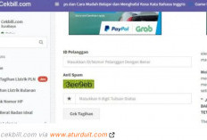 Cara Cepat Mengecek Tagihan Listrik Pascabayar