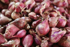 3 Khasiat Kulit Bawang yang Bikin Kaget