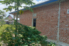 Camat Bingin Kuning Ajak Warga Manfaatkan Lahan Kosong Demi Ketahanan Pangan