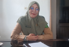 BKD Sebut Hanya Tiga Tambang Galian C Setor PAD