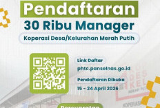  Koperasi Merah Putih Buka Loker 30 Ribu Manager: Simak Jadwal, Syarat, dan Link Daftar Terbaru 2026