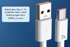 4 Kelebihan Pengisi Daya Kabel Dibanding Nirkabel