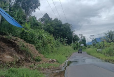 Warga Karang Dapo Atas Khawatir Kabel Listrik PLN Hampir Menyentuh Tanah