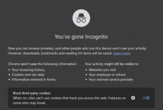 Efektifkah Mode Incognito dalam Menjaga Privasi Anda saat Browsing?