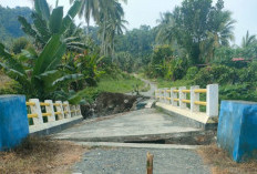 54 Rumah Warga di Desa Tambarana Poso Terendam Banjir