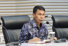 Ketua KPK Pastikan Usut Dugaan Suap SYL yang Diduga Mengalir ke Anggota BPK