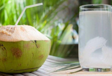 3 Manfaat Rutin Minum Air Kelapa Muda Setiap Pagi, Bikin Penyakit Ini Ogah Mendekat