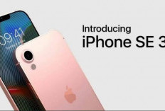 Terkuap Alasan Apple Menghentikan Penjualan Seri iPhone SE 3 dan iPhone 14