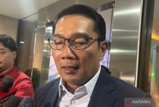 Respons Ridwan Kamil Soal Lisa Mariana Minta Tes DNA Ulang