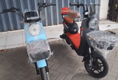 Perbedaan Sepeda Listrik Uwinfly DF7S dan Goda 140D