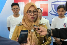 Ratusan Honorer tak Penuhi Syarat Diangkat PPPK Paruh Waktu, Ini Penjelasan Bupati Husniah