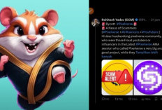 NASIB Hamster Kombat!!! Akanka Kasus Pixelverse Terulang, Komunitas Kecewa