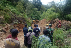 Setelah 6 Jam Pembersihan, Jalan Lintas Provinsi di Rimbo Pengadang Kembali Bisa Dilalui