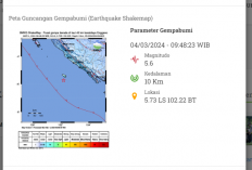 Gempa Terkini 5,6 Guncang Bengkulu, Tak Berpotensi Tsunami
