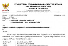 KemenPAN-RB Bakal Menyosialisasikan Pengadaan PPPK 2024, Pendaftaran Dibuka Agustus?