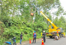 Wujud Janji Kampanye Bupati Azhari Wabup Bambang, 425 LPJU Terangi Lebong