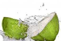 Manfaat dan Efek Samping Minum Air Kelapa yang Perlu Anda Ketahui