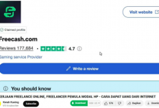 Freelancer Pemula Wajib Coba! Dapat Uang dari Internet Tanpa Ribet