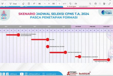 Pendaftaran CPNS 2024 Sebentar Lagi, Pengumuman Kelulusan Januari