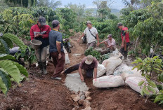 Kelompok Tani Swadaya Bangun Jalan