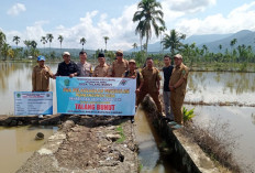 DD Tahap I Pemdes Talang Bunut untuk Bangun JUT