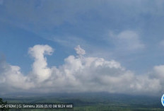 Gunung Semeru Erupsi Lagi, Tinggi Letusan sampai 1.000 Meter