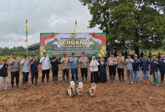 Gandeng Polri, Holding Perkebunan Nusantara PTPN III Optimalkan Lahan untuk Tanam Jagung