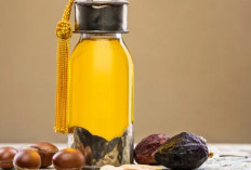 Manfaat Minyak Argan untuk Kulit Sehat dan Glowing