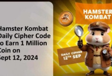 Daily Chiper Hamster Kombat 12 September, Raih 1 Juta Koin!