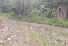 Anggaran Terbatas, Pembangunan Jalan Danau Liang–Turan Ingep Dialihkan ke Pengerasan