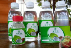 6 Manfaat Minyak Kelapa, Baik untuk Kesehatan Pencernaan