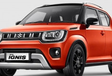 Mengejutkan, Alasan Suzuki Resmi Suntik Mati Ignis di 2024!