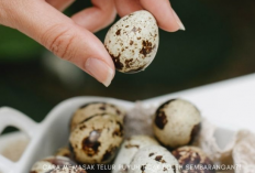 Teknik Memasak Telur Puyuh Agar Nutrisi Tetap Terjaga dan Lezat