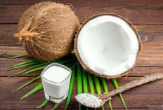 3 Bahan Alami Pengganti Sampo untuk Merawat Rambut