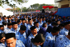 Hari Ini Terakhir Pengusulan PPPK Paruh Waktu, Masih Ada Pemda Tunggu Petunjuk Pusat