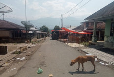 Camat Imbau Pemilik HPR Kandangkan Hewan Peliharaan