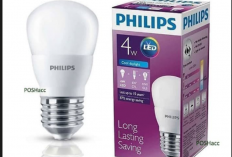 Harga Lampu Hemat Energi Philips, CEK!