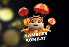 2,3 Juta Pemain Didiskualifikasi! Airdrop Hamster Kombat Tuai Kontroversi