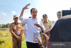 Soal Bansos untuk Korban Judi Online, Jokowi: Enggak Ada